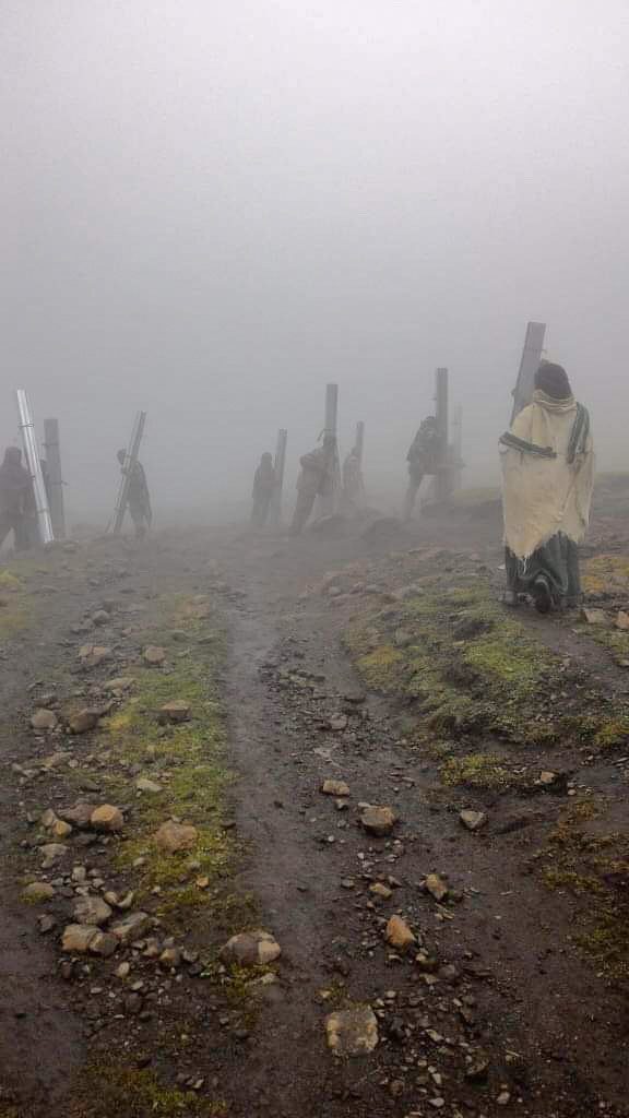 Transport de matériaux à dos d'homme. Parc National du Simien ethiopie